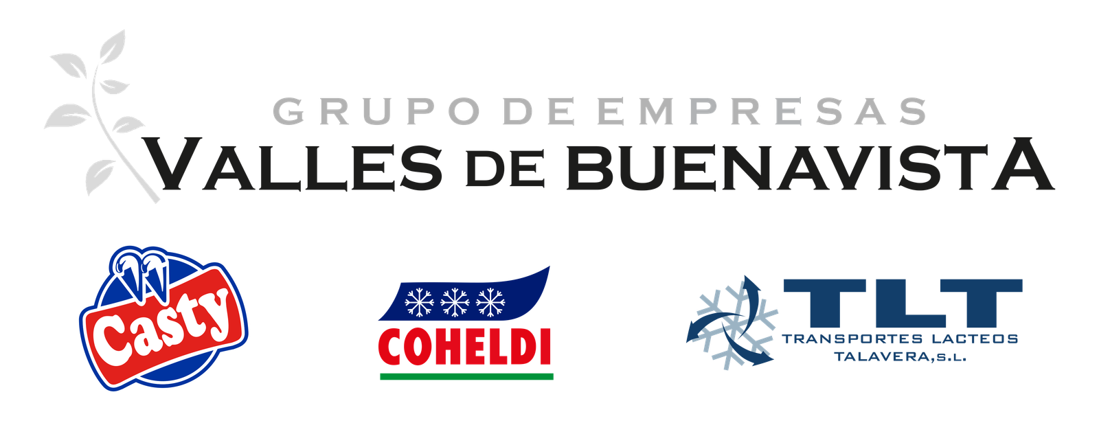 Grupo Valles de Buenavista